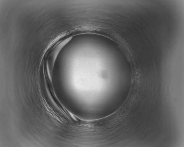 X0000086100395200703231440