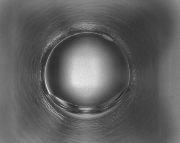 X0000086100399200703231440