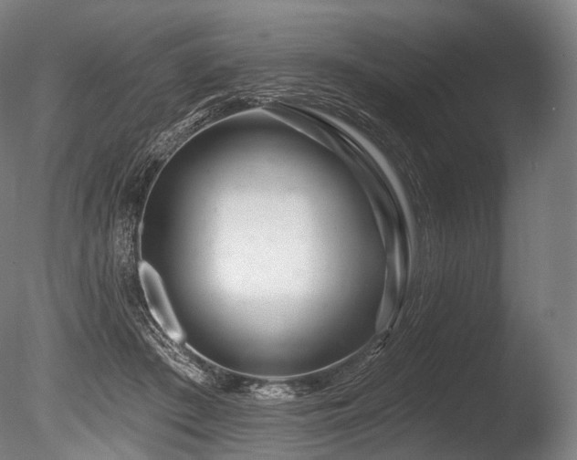 X0000086100409200703231440