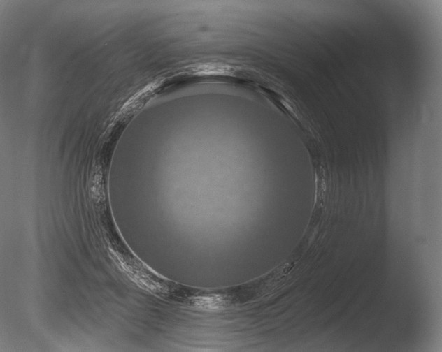 X0000086100411200703231440