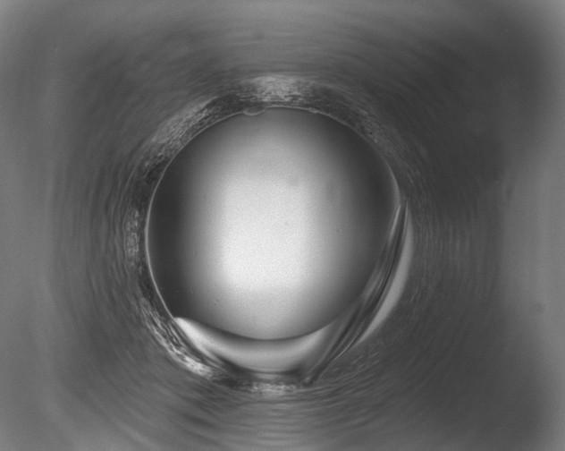 X0000086100413200703231440