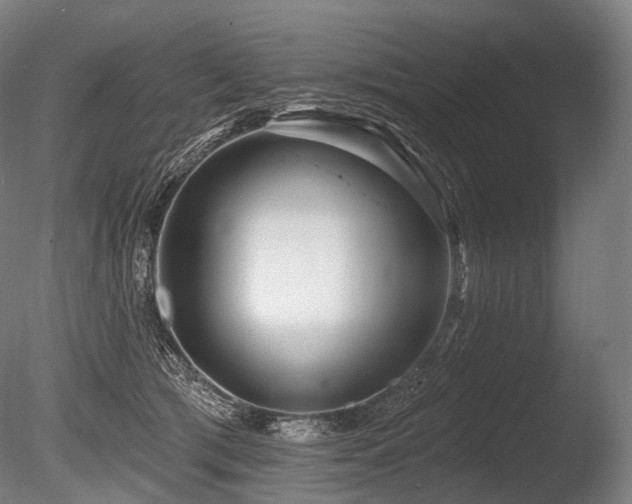 X0000086100417200703231440