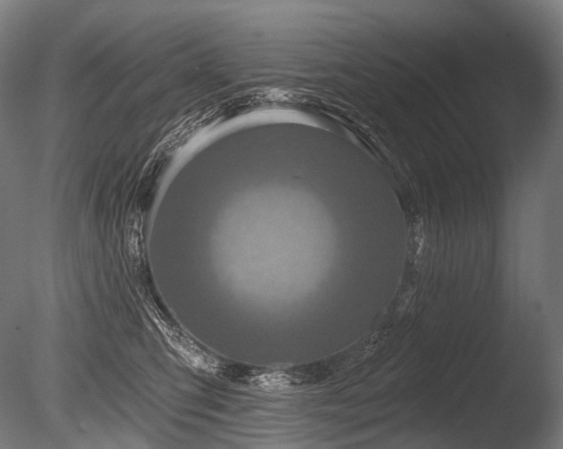 X0000086100423200703231440