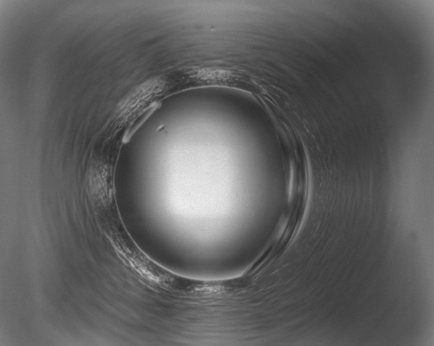 X0000086100428200703231440