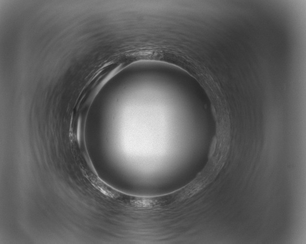 X0000086100432200703231439