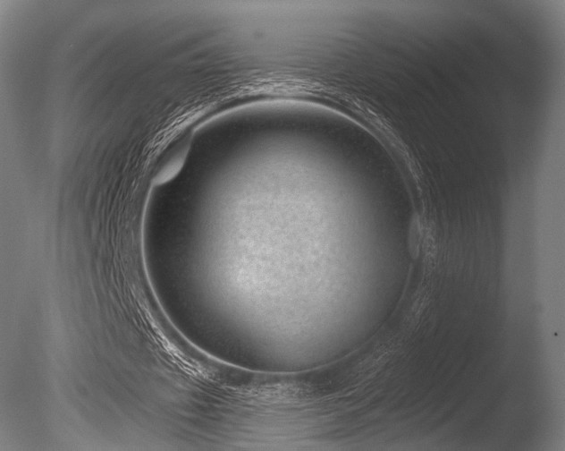 X0000086100433200703231439