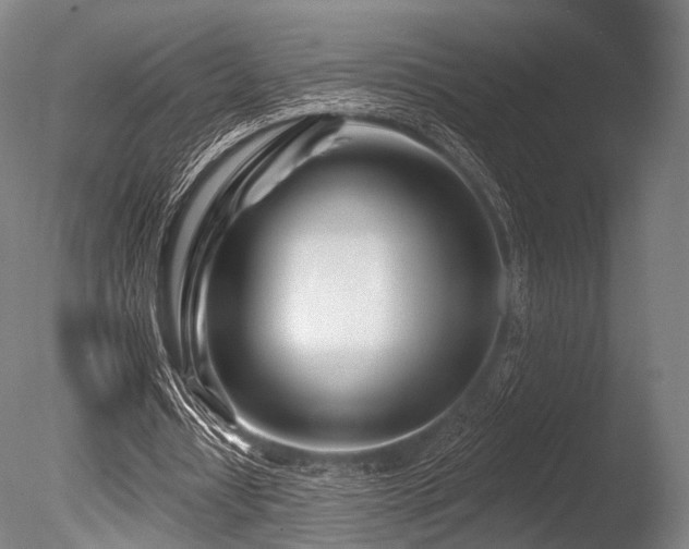 X0000086100434200703231439