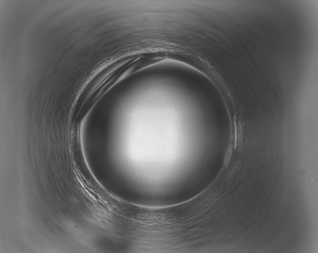 X0000086100435200703231439