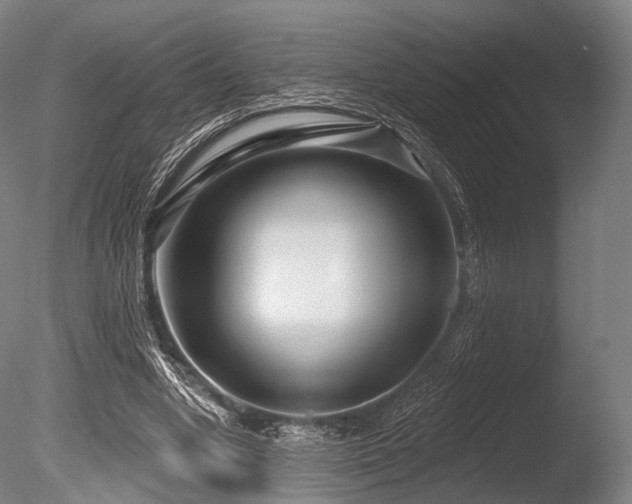 X0000086100442200703231439
