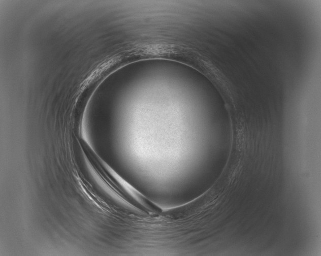 X0000086100443200703231439