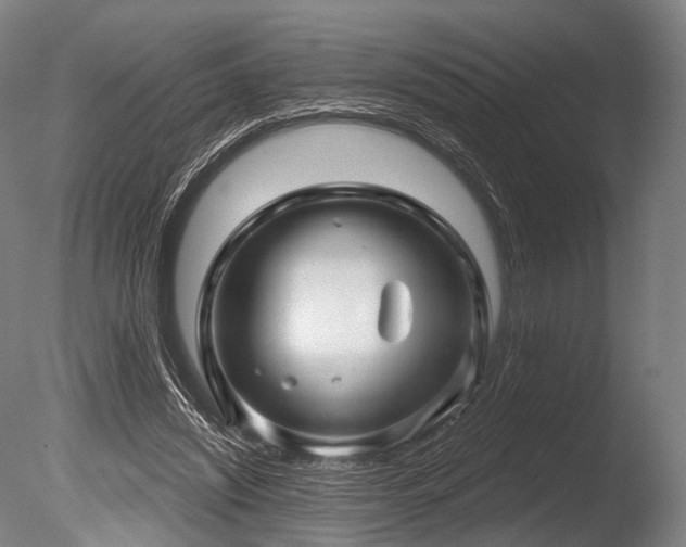 X0000086100444200703231439