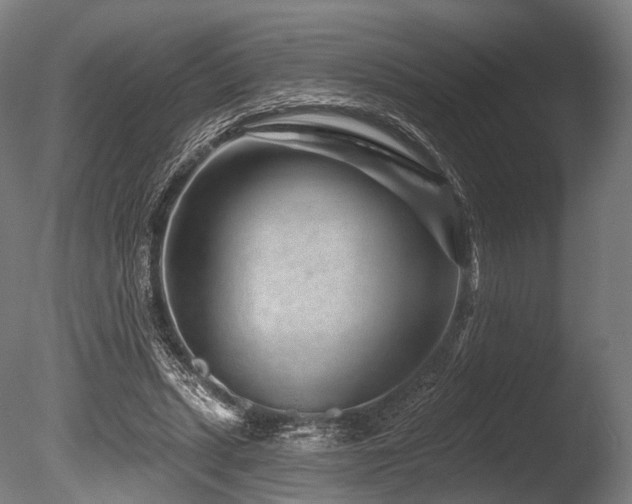 X0000086100447200703231439