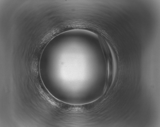 X0000086100449200703231439