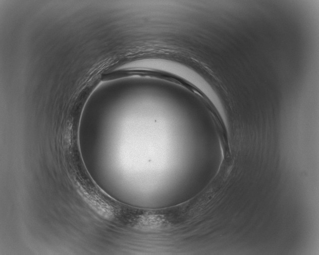 X0000086100451200703231439
