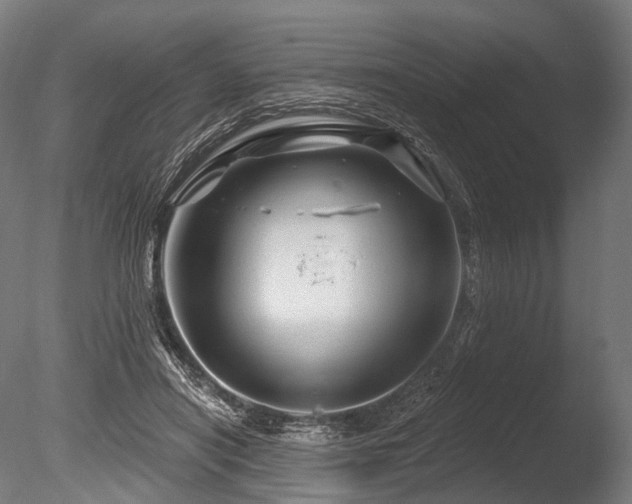 X0000086100454200703231439