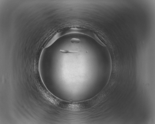 X0000086100457200703231439