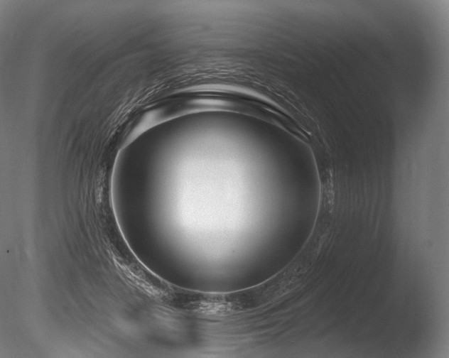 X0000086100458200703231439