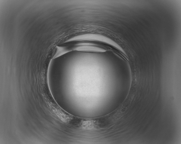 X0000086100461200703231439