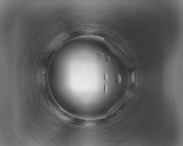 X0000086100462200703231439