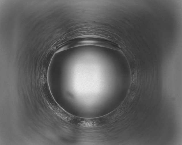 X0000086100464200703231439