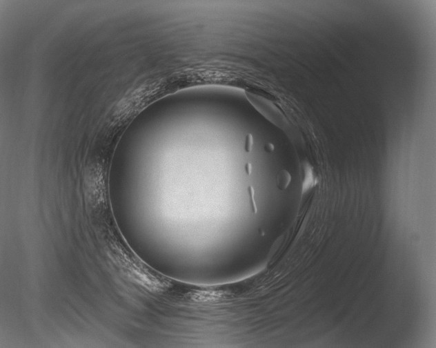X0000086100465200703231439