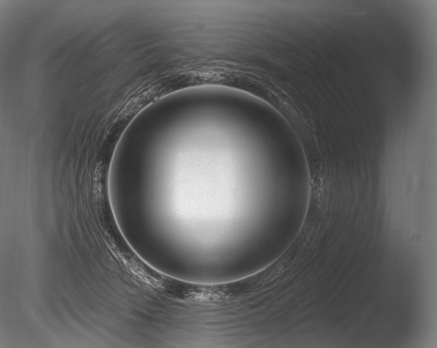 X0000086100466200703231439