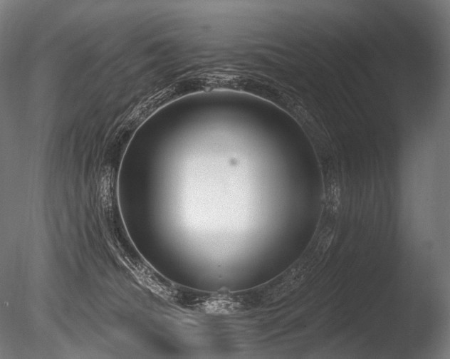 X0000086100468200703231439