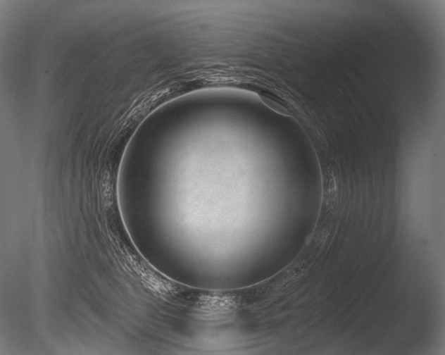 X0000086100469200703231439