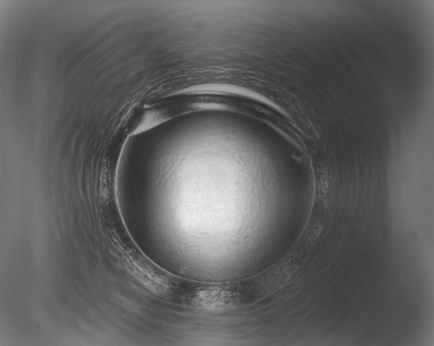 X0000086100470200703231439