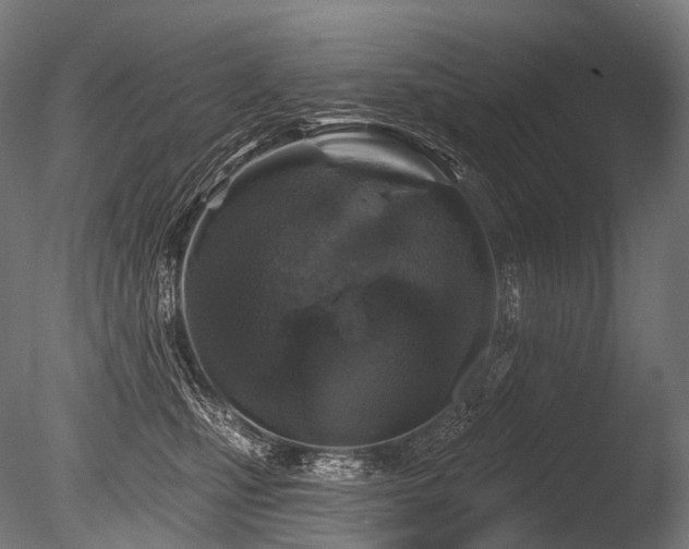 X0000086100471200703231439