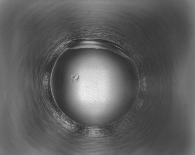 X0000086100472200703231439