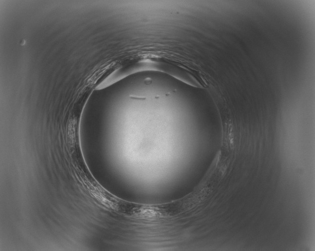 X0000086100475200703231439
