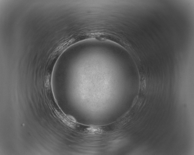 X0000086100477200703231439
