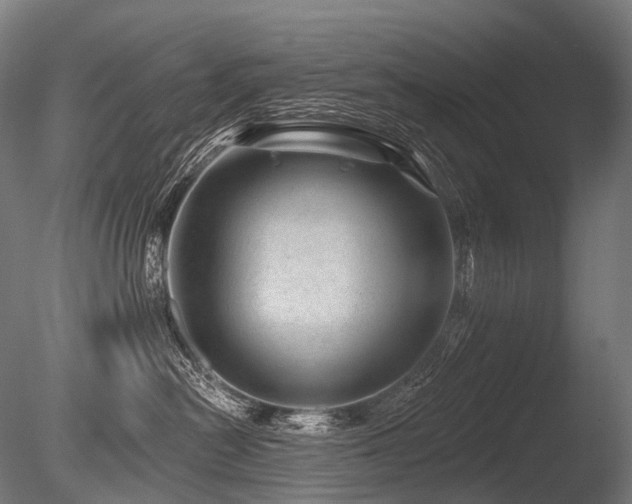 X0000086100478200703231439