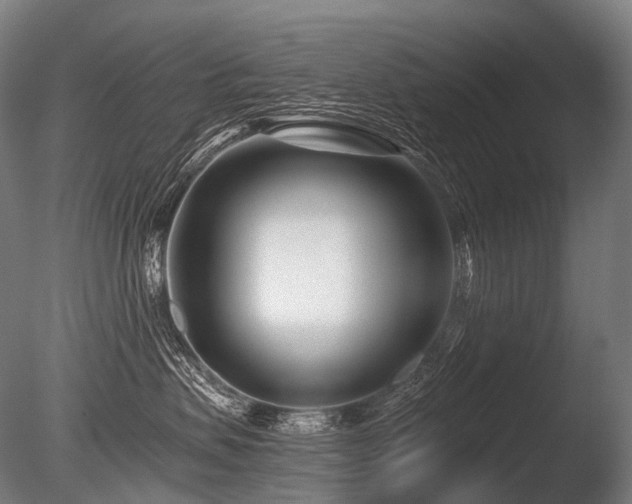X0000086100479200703231439