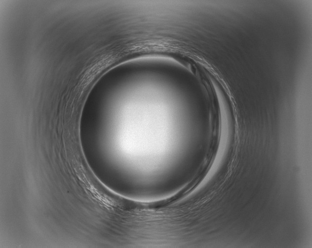 X0000086100481200703231439