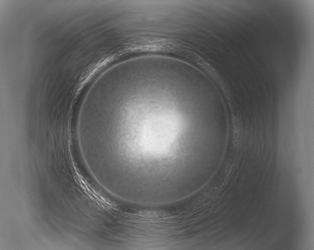 X0000086100482200703231439