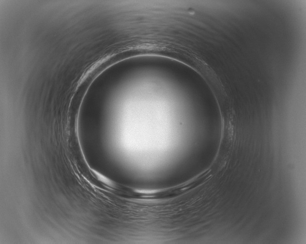 X0000086100484200703231439