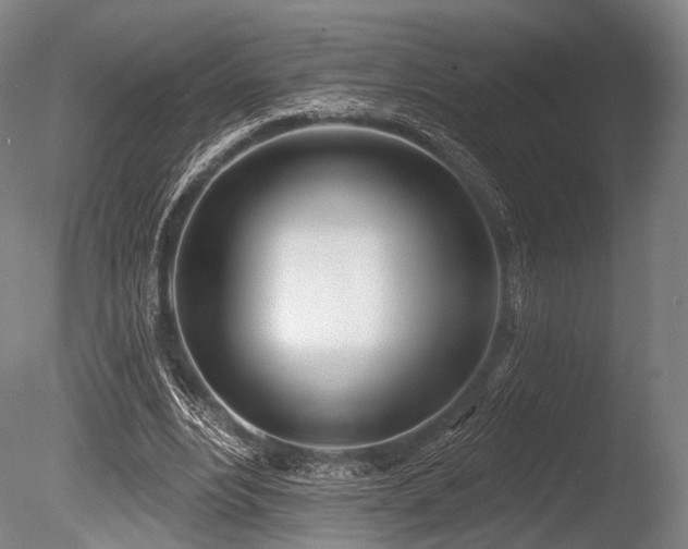 X0000086100488200703231439