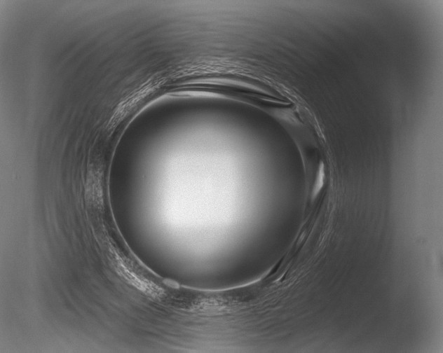 X0000086100489200703231438
