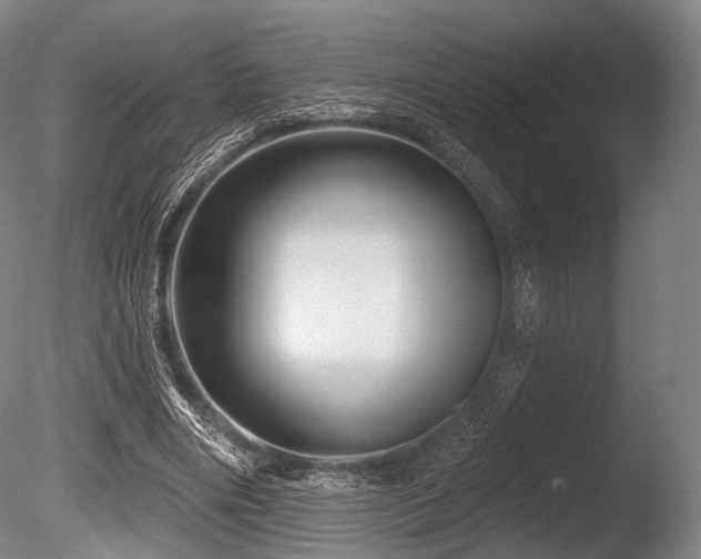 X0000086100490200703231438