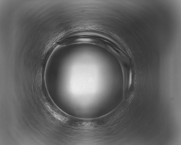 X0000086100493200703231438