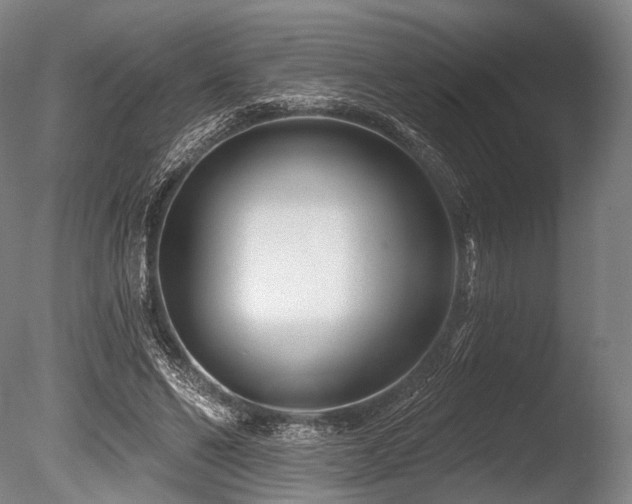 X0000086100494200703231438