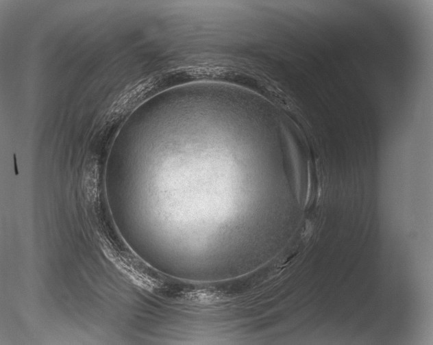 X0000086100498200703231438