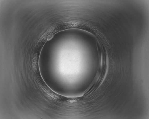 X0000086100509200703231438