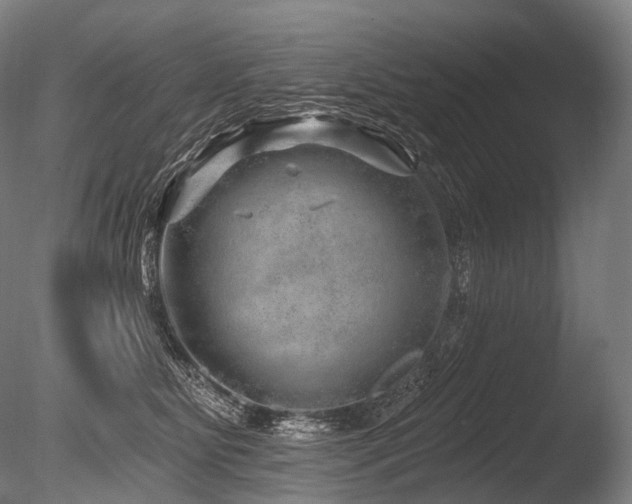 X0000086100515200703231438