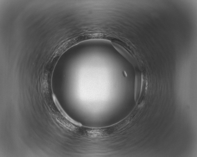 X0000086100516200703231438