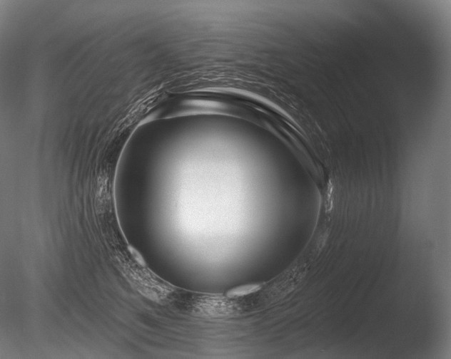 X0000086100521200703231438