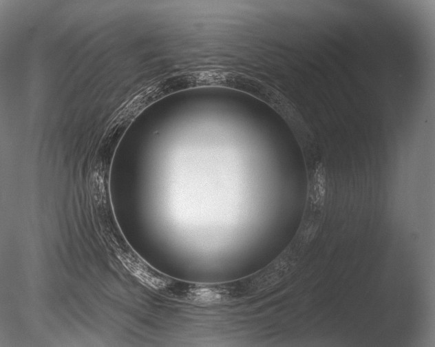 X0000086100522200703231438