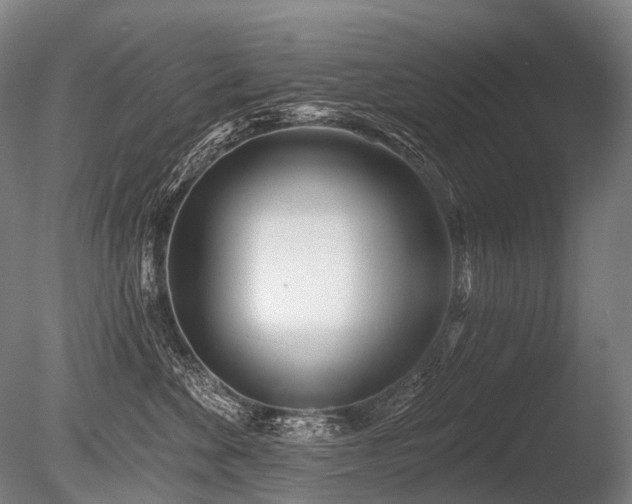 X0000086100524200703231438